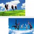 Action Camera Ultra HD 4K WiFi 2 0  170D Underwater Waterproof Helmet Camera Sport Camera