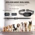 Adjustable Dog Bark Collar  Automatic Anti Barking Collar With USB Rechargeable Smart Bark Collar For Dogs IP67 Waterproof Adjustable Bark Training Collar green
