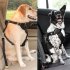 Adjustable Pet Seat Belt Harness for Dog Supplies blue L