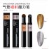 Air Cushion Magic Powder Pen 10 Colors Laqcuer Nail Art Mirror Effect Nail Makeup Fast Design Powder LS 01