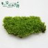 Air drying Moss Miniature Garden Ornament DIY Craft Dollhouse Flowerpot Decoration green