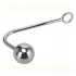Anal Hook with 2 Interchangeable Balls Stainless Steel Anal Hook for Men Women Anal Toy