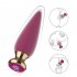 Anal Plug Anal Vibrator Sex Toy Magnetic Rechargeable Vagina G Spot Dildo Vibrator Butt Plug with RC