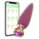 Anal Plug Vibrator Sex Toy Magnetic Rechargeable Vagina G Spot Dildo Vibrator