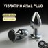 Anal Plug Sex Toys Backcourt Masturbation Vibrate Anal Plug Anal Expansion Sm Toy for Male Female Adult Fun Medium