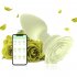 Anal Vibrators Butt Plug 10 Modes Sex Toy Vibrating Rose Remote Control Rose Base Waterproof Silicone Rose Adult Toys Pink APP aluminum foil bag