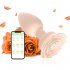 Anal Vibrators Butt Plug 10 Modes Sex Toy Vibrating Rose Remote Control Rose Base Waterproof Silicone Rose Adult Toys Purple remote control aluminum foil bag