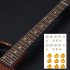 Animal Plant Pattern Guitar Fingerboard Fretboard Stickers Guitar Decals Decoration C   sakura 
