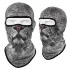 Animal Print Full Face Mask Quick drying Breathable Single hole  Headgear New Grey Lion Single hole  Headgear
