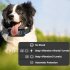 Anti Barking Collar For Dogs  Dog Collar With 3 Correction Methods  Charger Cable  2 Silicone Caps  IP67 Waterproof Rechargeable Barking Terminator black