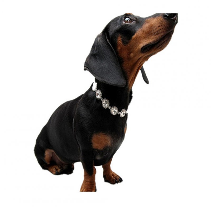 Pet Dog Bling Shiny Necklace Ornament Luxury Crystal Rhinestone Collar For Wedding Accessories pink M