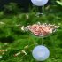 Aquarium Fish Tank Shrimp Food  Feeder Clear Glass Feeding Tube Dish Suction Acrylic aerial shrimp food bowl
