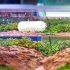 Aquarium Magnetic Strong Cleaner Brush Fish Tank Algae Magnet Cleaning Tool With Scrapers Floating Cleaner Scrubber Brush MC 60