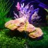 Aquarium Resin Rockery Fish Cave Tortoise Bask Platform Landscape Rockery Decoration Yellow