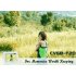 Are you shopping for a digital picture frame to view all of your favorite photos on your home study or work desk   Then come to www chinavasion com to see the i