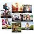 Arm Sleeves For Women Men Summer Ice Silk Sun Protection Arm Sleeves For Outdoor Cycling Driving Sports black