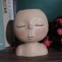 Art Modeling Sculpture Doll Flower  Pot Fleshiness Potted Garden Decoration Desktop Resin Decoration Foam box packaging