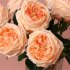 Artifical Silk  Flower Realistic Rose For Hpsehold Decoration Wedding Ornaments White