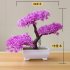 Artificial Chamaecyparis Pisifera Shape Plant Bonsai for Home Dinning Table Ornament Pink