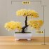 Artificial Chamaecyparis Pisifera Shape Plant Bonsai for Home Dinning Table Ornament Lotus