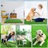 Artificial Grass Dog Pee Mat For Puppy Professional Dog Potty Training Rug Washable Pet Turf Fake Grass Replacement Doormat For Indoor Oudoor grass   30 x 30cm 