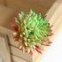 Artificial Lifelike Succulents Multi Type PVC Plant Garden Miniature Aloe Cactus DIY Home Floral Decor