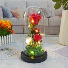 Artificial Rose Flower With Night Light 11.5 x 21.5cm/11.5 x 14.5cm Light Up Rose In A Glass Dome Birthday Gifts For Women High style