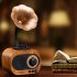 As70 Retro Wireless Bluetooth compatible Speaker Hands free Call Card U Disk Loudspeaker Nostalgic Audio Gramophone pear color
