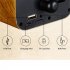 As90 Retro Wireless Bluetooth compatible Speaker Hands free Call Card U Disk Nostalgic Small Audio Antique Gramophone pear color