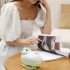 Astronaut Humidifier 2 in 1 Night Light Humidifier With USB Charging Cable Cotton Swab Household 300ml Desktop Cool Mist Humidifiers For Car Office Bedroom pink