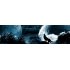 Auto Car Rear Window Decal Sticker Wolf Howling In The Night Cool Car Sticker Truck Decoration 47 46CM