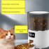 Automatic Cat Food Dispenser 4L Timed Auto Dog Feeders with Desiccant Bag Pet Feeder Black Button PFF040 US Plug