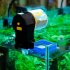 Automatic Fish Tank Feeder 12 Hours 24 Hours Intelligent Timing Large capacity Aquarium Fish Feeder yellow