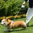 Automatic Retractable Dog Leash One Handed Brake Durable Nylon Pet Walker Tape Lighting Walking Dog Leash Ribbon With Anti Slip Handle For Small Medium Large Do