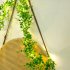 Automatical Eucalyptus Leaves Rattan Lights 8 Lighting Modes Weatherproof Lights String For Patio Decoration Solar 5m 50 lights