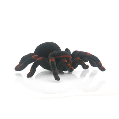 RC Tarantula 