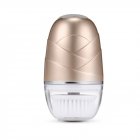 BLK E001 Face Cleansing Instrument Blackhead Beauty Brush 3 In 1 IP65 Waterproof Rechargeable Machine Gold