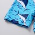 Baby Boys One piece Swimsuit Long Sleeve Short Pants Quick drying Beach Sunscreen Surfing Suit For Summer shark shaped 3 4years M