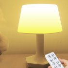 Baby Night Light With USB Charging Cable Remote Control Transparent Lampshade Rechargeable Table Lamp Bedside Table Lamp