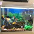Background Paper Painting 3D Fish Bowl Wallpaper Double sided Aquarium Decorative Sticker B