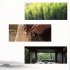 Bamboo Table Lamp Handmade Bamboo Woven Bedside Lamp With Bulb And Plug Retro Chinese Style Desktop Night Light For Living Room Bedroom Kids Room Dorm Office De