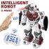 Bg1531 Kids Boys Remote Control Spray Robot 2 Modes 21 Functions RC Smart Gesture Sensor Kids Toys