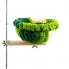 Bird Nest Mat Swing Ring Platform Nest House Bed For Bird Parrot Budgie Parakeet Cockatiel Conure Lovebird platform-green