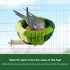 Bird Nest Mat Swing Ring Platform Nest House Bed For Bird Parrot Budgie Parakeet Cockatiel Conure Lovebird platform green