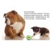 Bite Resistant Bounce Ball Molar Training Sound Toy for Pet Dogs Supplies green 15cm in diameter