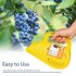 Blueberry Picker With Comb Multifunctional Portable Blueberry Picker With Comb Shaped Blueberry Rake Farm Gardening Hand Tool For Harvesting Fruits yellow