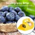 Blueberry Picker With Comb Multifunctional Portable Blueberry Picker With Comb Shaped Blueberry Rake Farm Gardening Hand Tool For Harvesting Fruits yellow