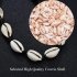 Bohemian Style Natural Shell Hand Knitting Necklace Bracelet Black   shell  set 
