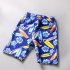 Boys Long Sleeves Swimsuit Set Trendy Printing Sunscreen Quick drying Swimwear Swimming Trunks Swimming Cap Suit skateboard 4 5years XL