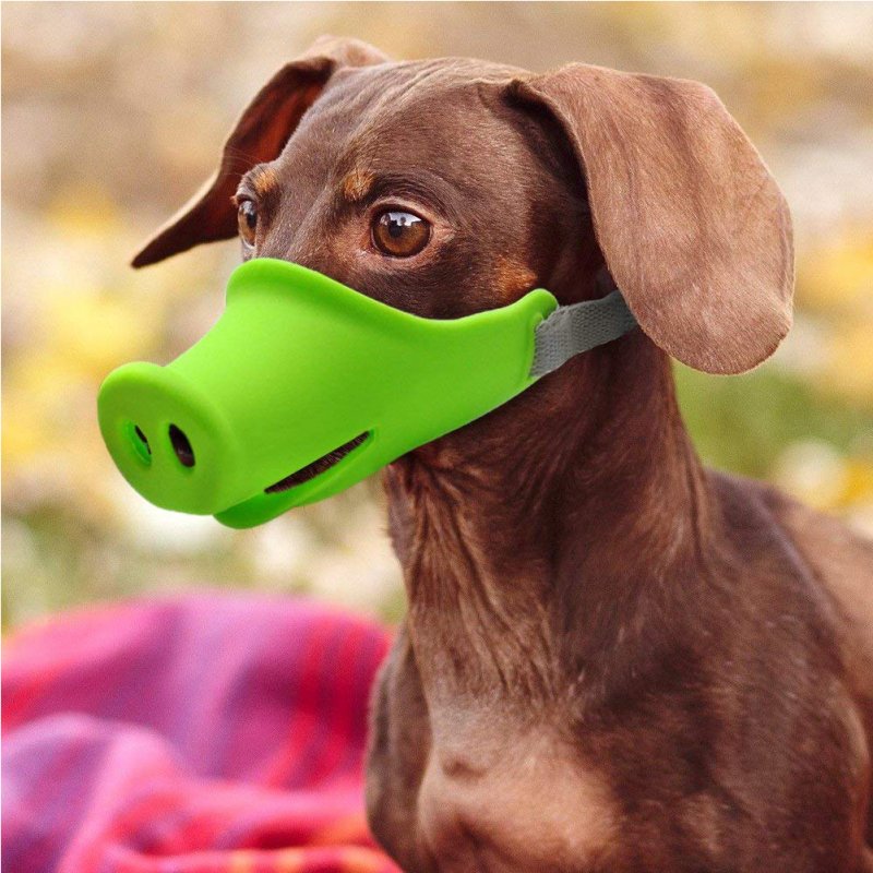 Breathable Dog Mouth Muffle Mouth Mask Prevent Biting Barking Eating Dirt Pet Supplies green_S-small